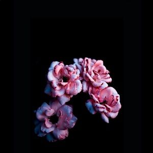 Meet your Posher, Jaida